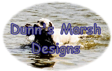 DM Designs Logo dmdesignslogo