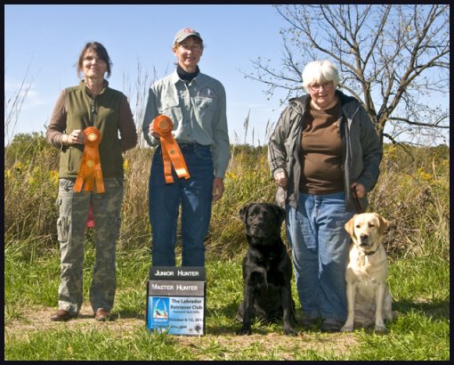 photo of black and yellow labs